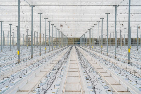 PBF HiRes HortiClean projecten november 37