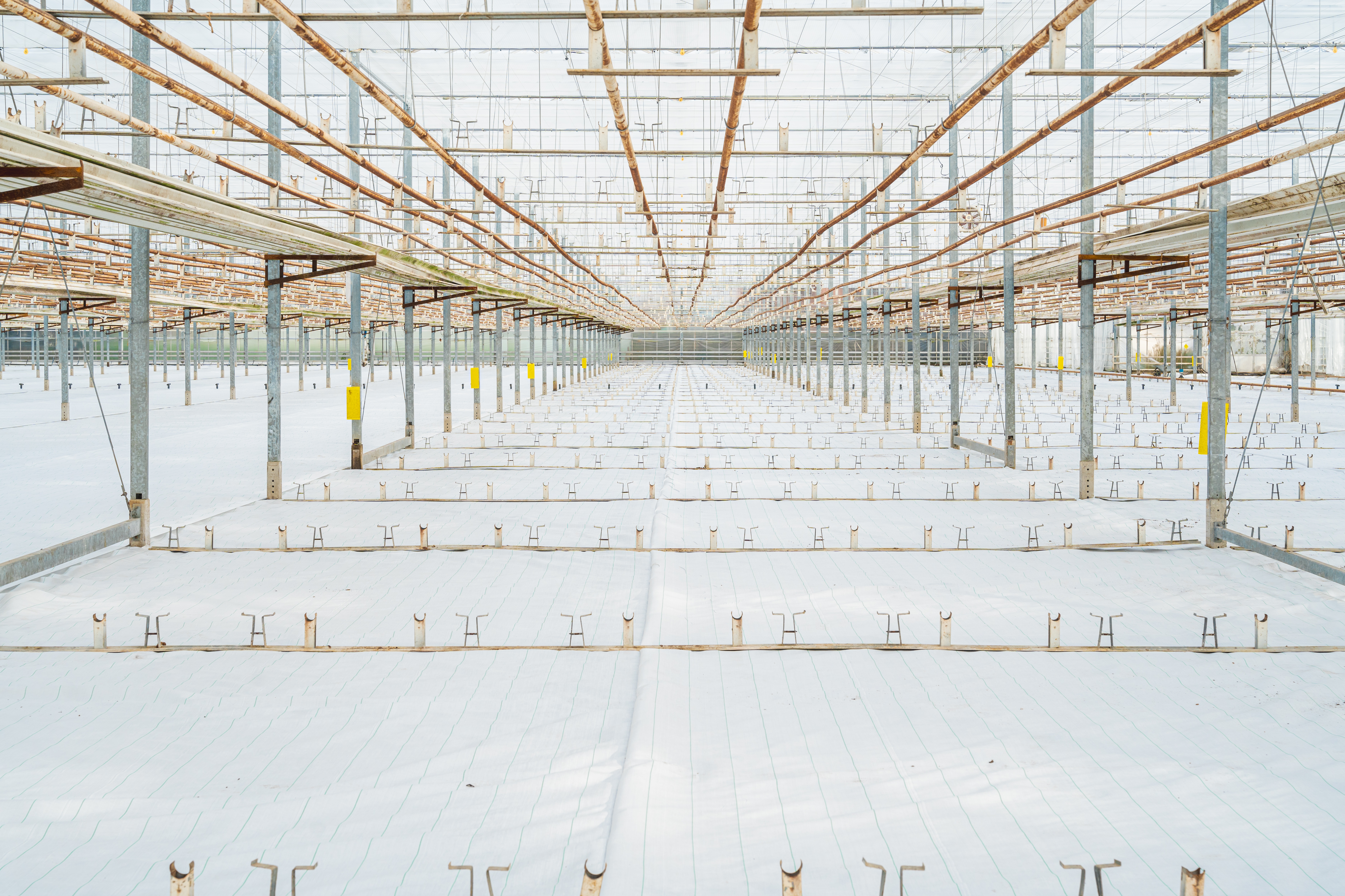 PBF HiRes HortiClean projecten november 42