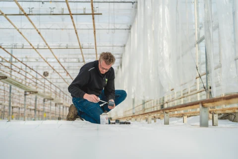 PBF HiRes HortiClean projecten november 60